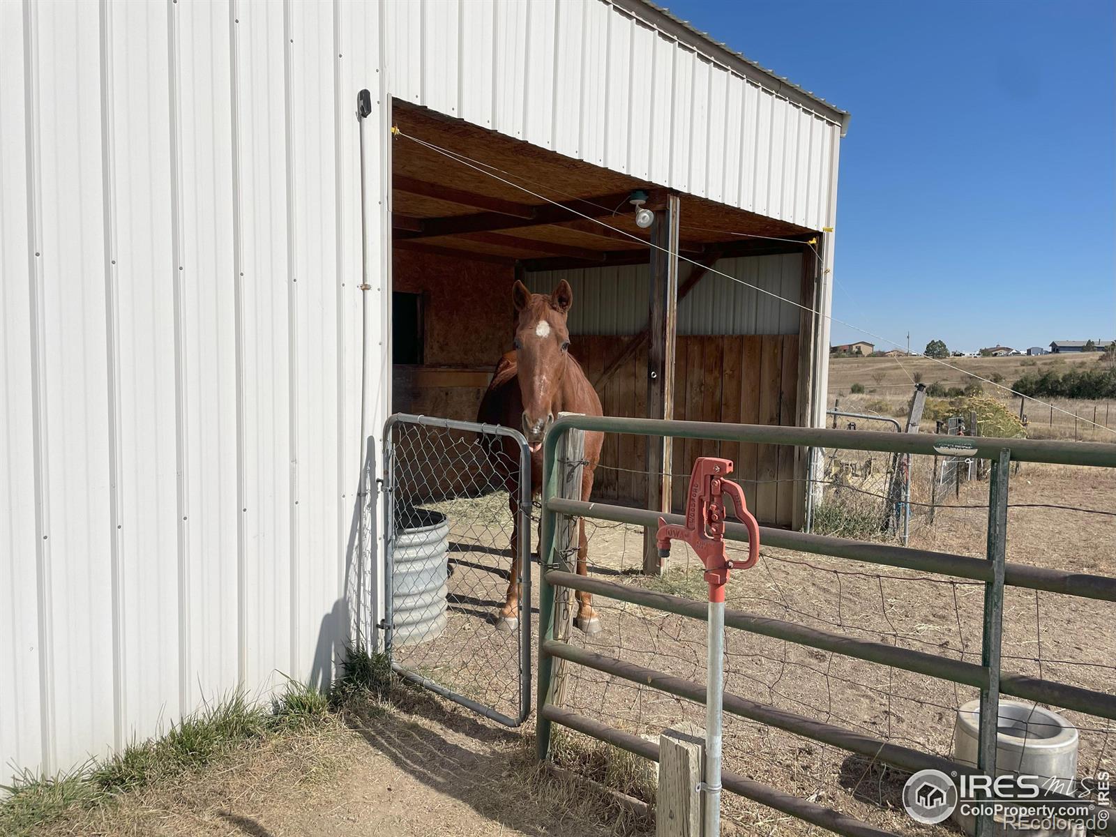 MLS Image #6 for 6715  wild flower road,fort collins, Colorado