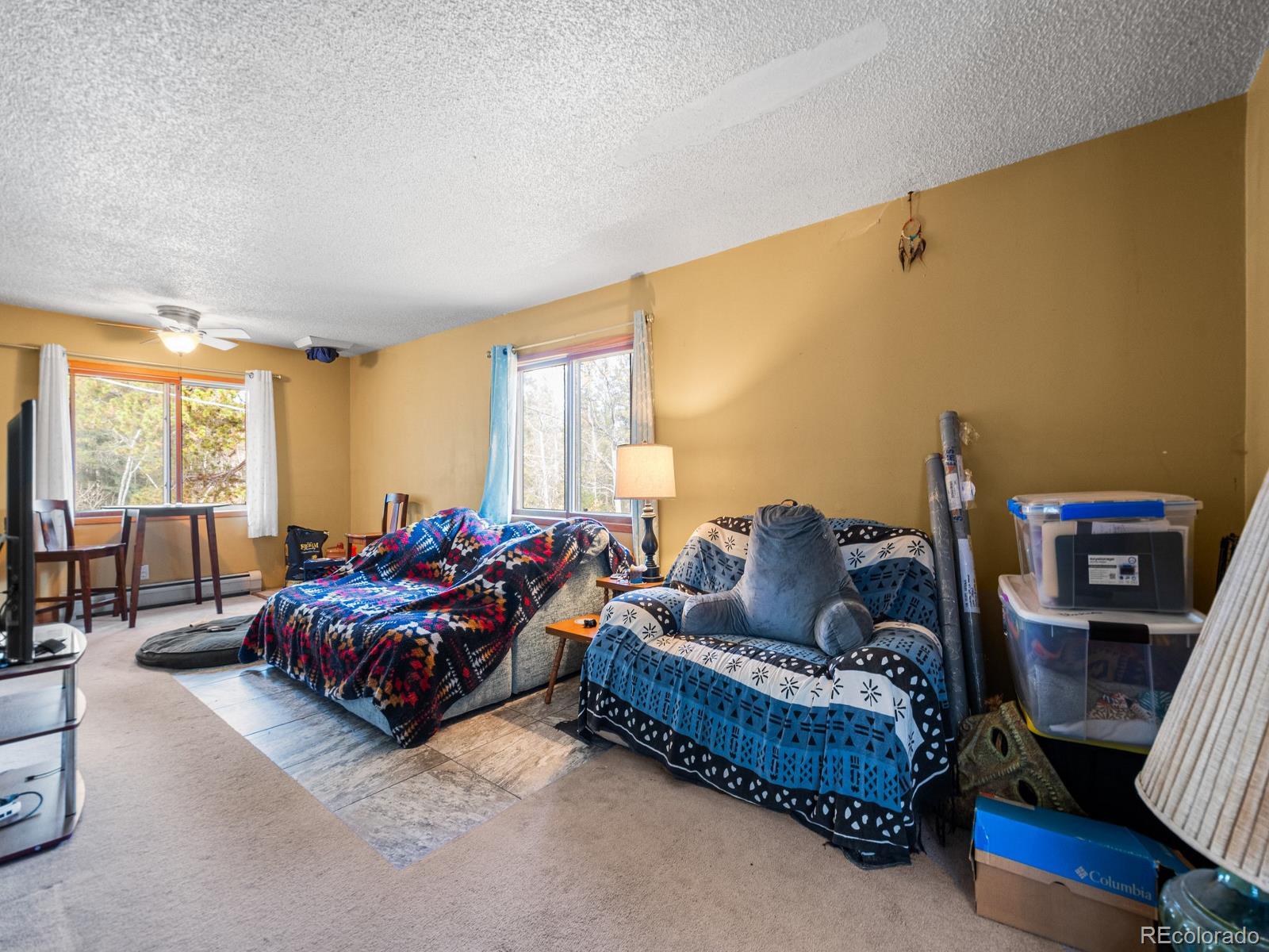 MLS Image #13 for 83  golden leaf way,black hawk, Colorado