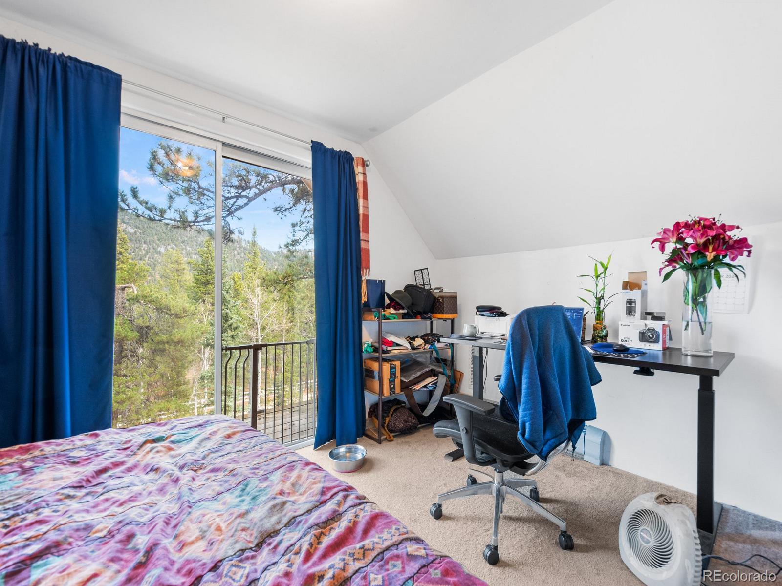 MLS Image #27 for 83  golden leaf way,black hawk, Colorado