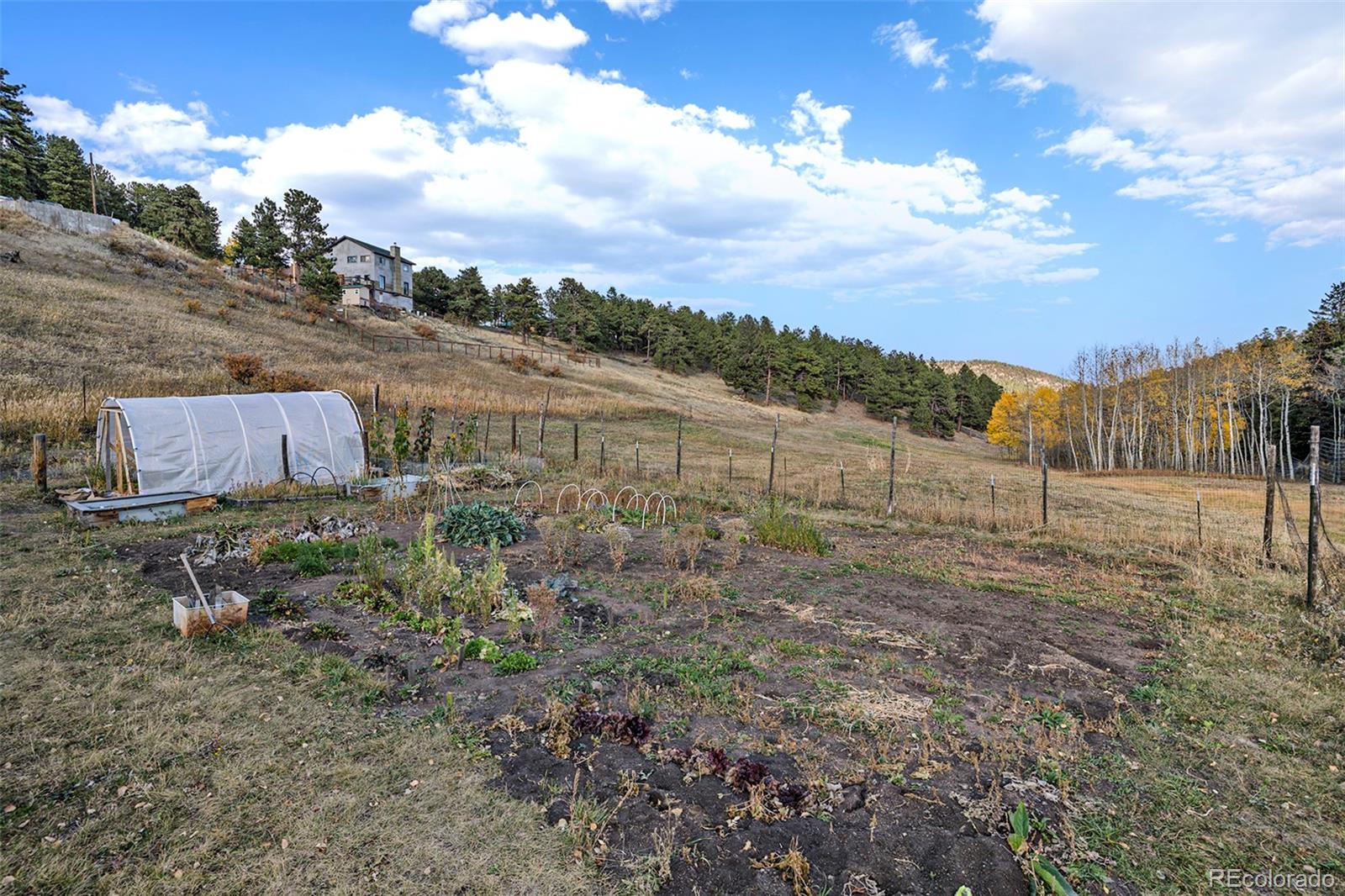 MLS Image #37 for 278  ridge road,ward, Colorado