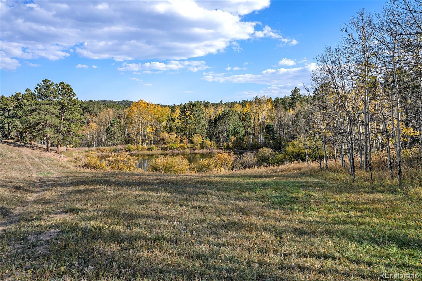 MLS Image #38 for 278  ridge road,ward, Colorado