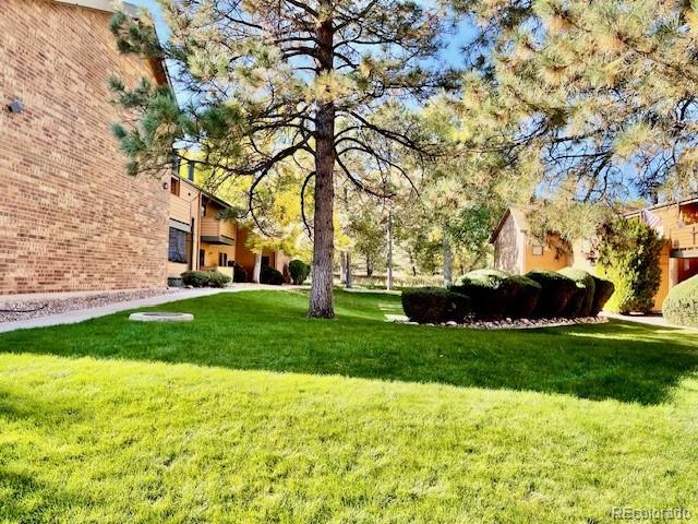 MLS Image #14 for 3345 s ammons street,lakewood, Colorado