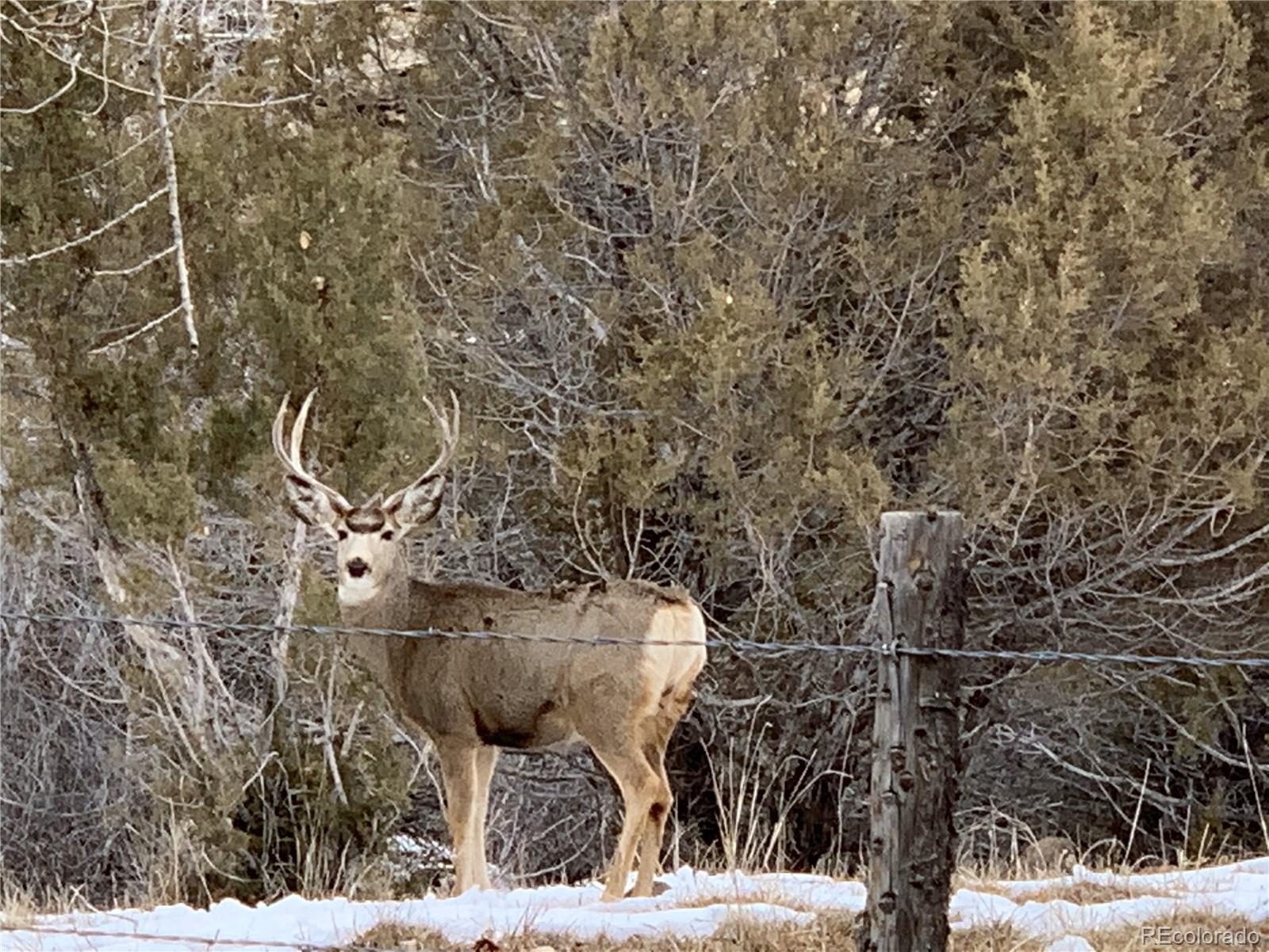 MLS Image #34 for 11756  54 6/10 road,molina, Colorado