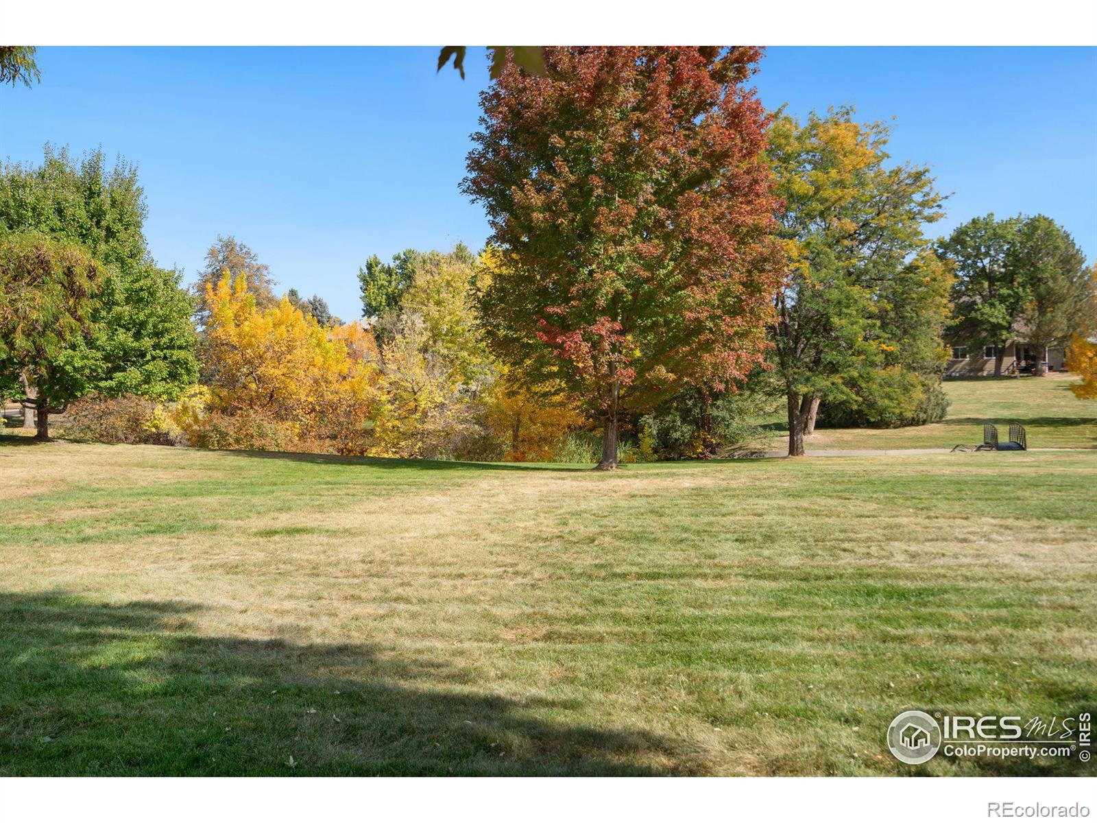 MLS Image #11 for 1226  atwood street,longmont, Colorado