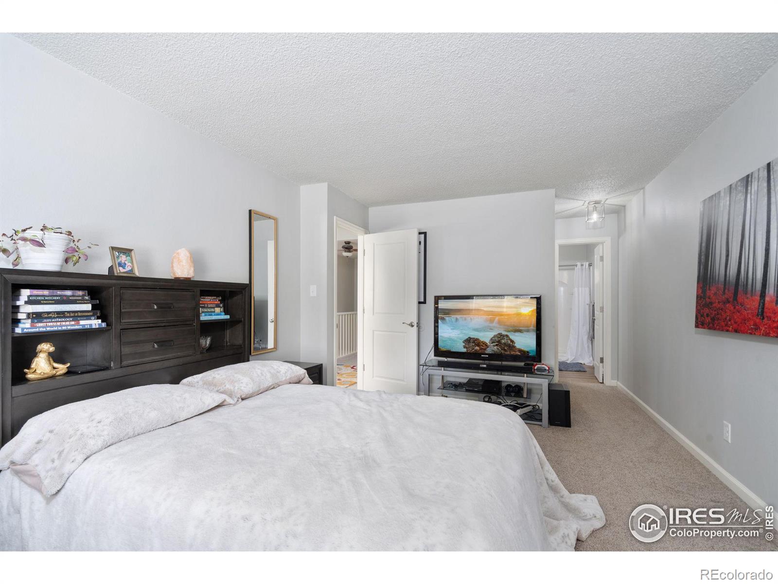 MLS Image #21 for 1226  atwood street,longmont, Colorado