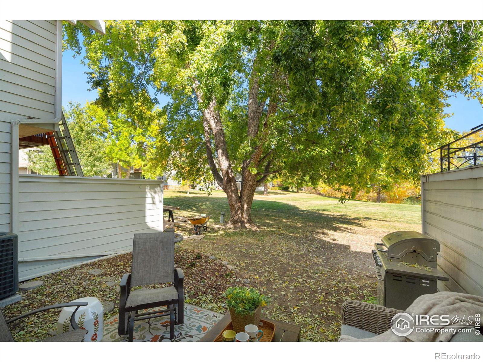 MLS Image #27 for 1226  atwood street,longmont, Colorado