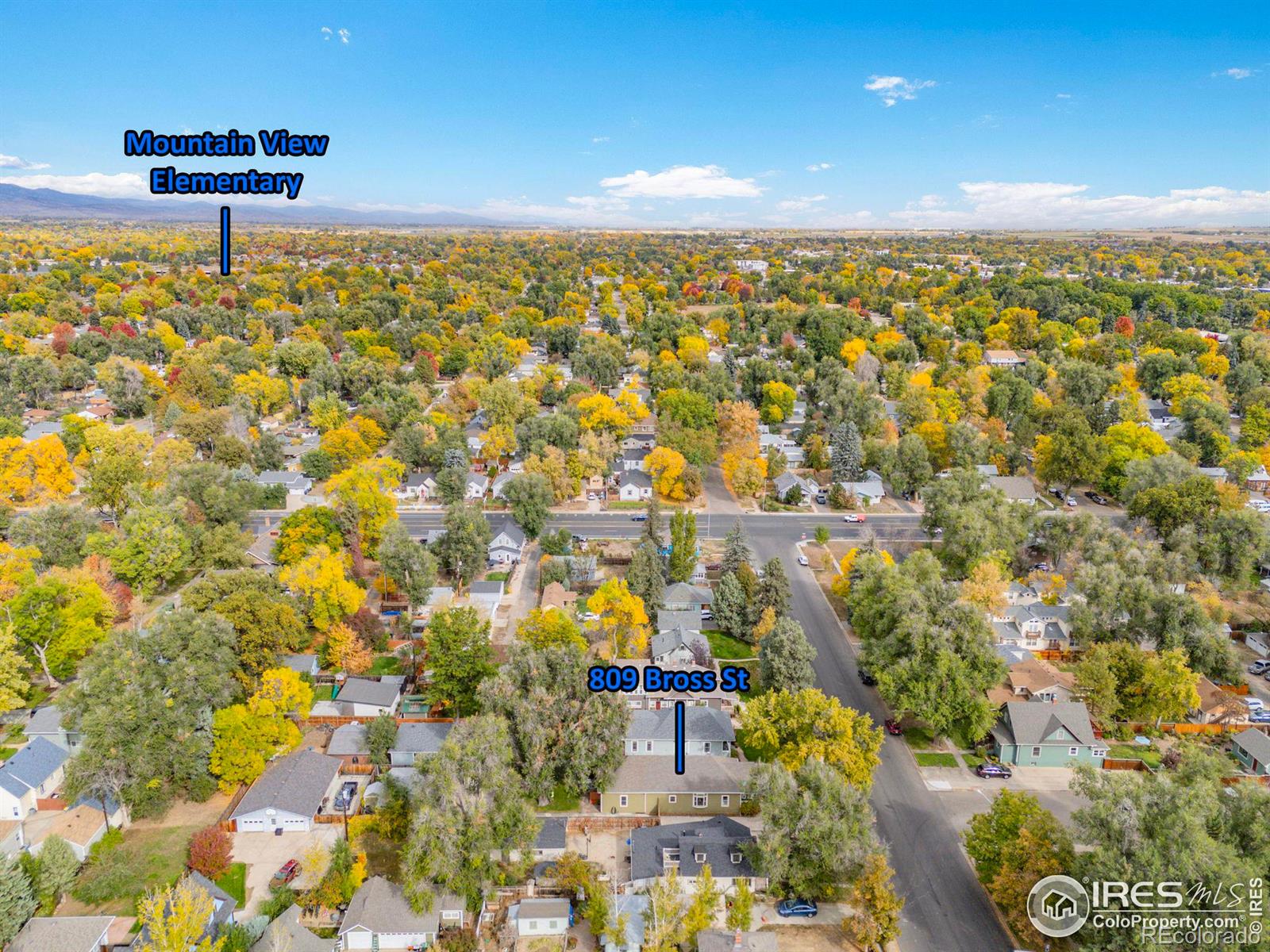 MLS Image #32 for 809  bross street,longmont, Colorado