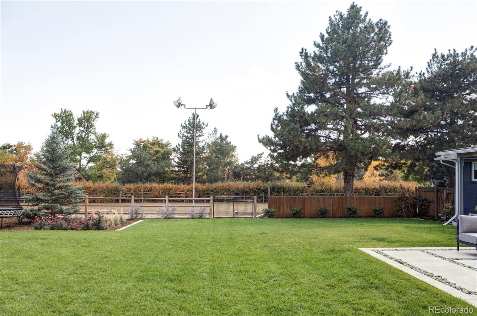 MLS Image #28 for 2170  quail drive,lakewood, Colorado