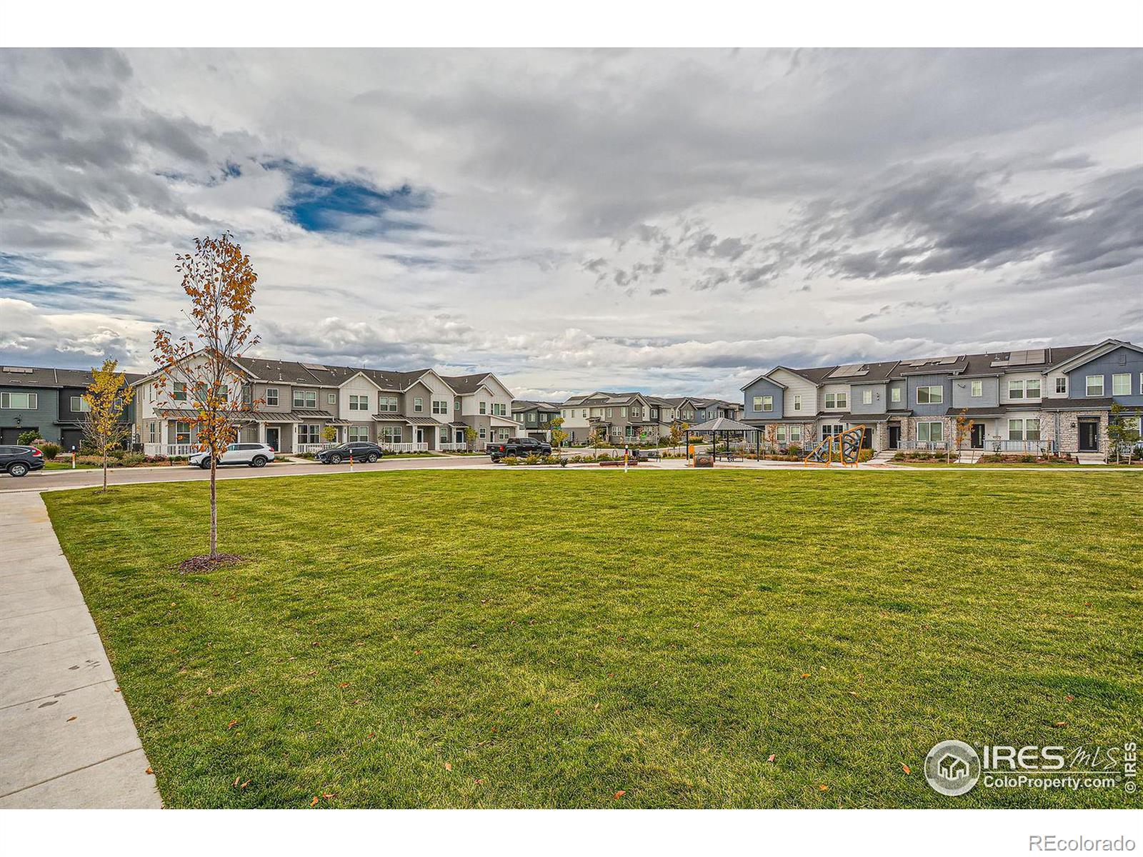 MLS Image #22 for 5452  euclid drive,timnath, Colorado