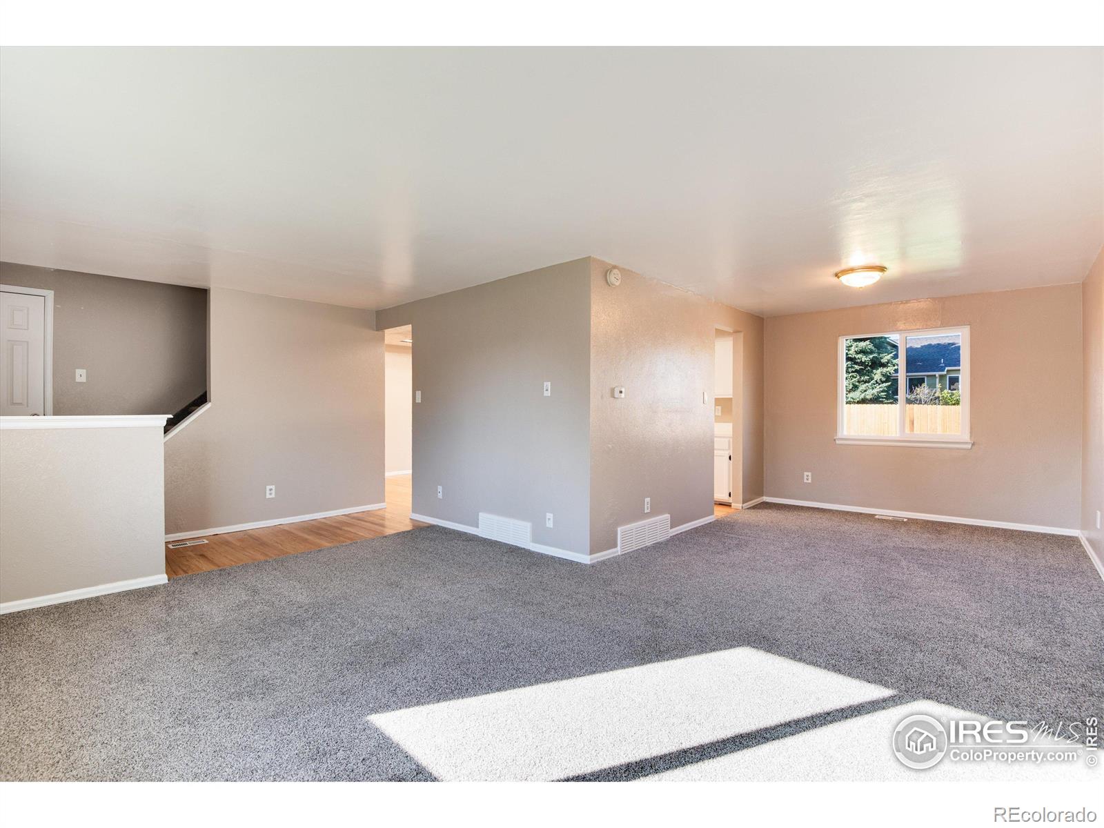 MLS Image #6 for 2185  sherri mar street,longmont, Colorado