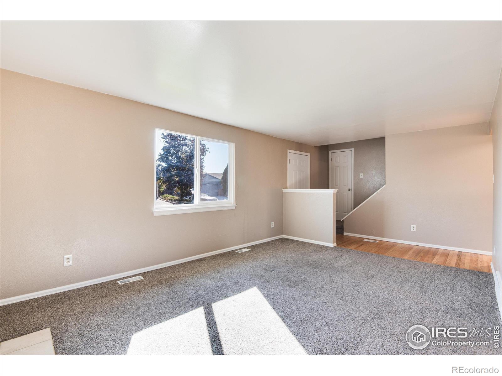 MLS Image #7 for 2185  sherri mar street,longmont, Colorado