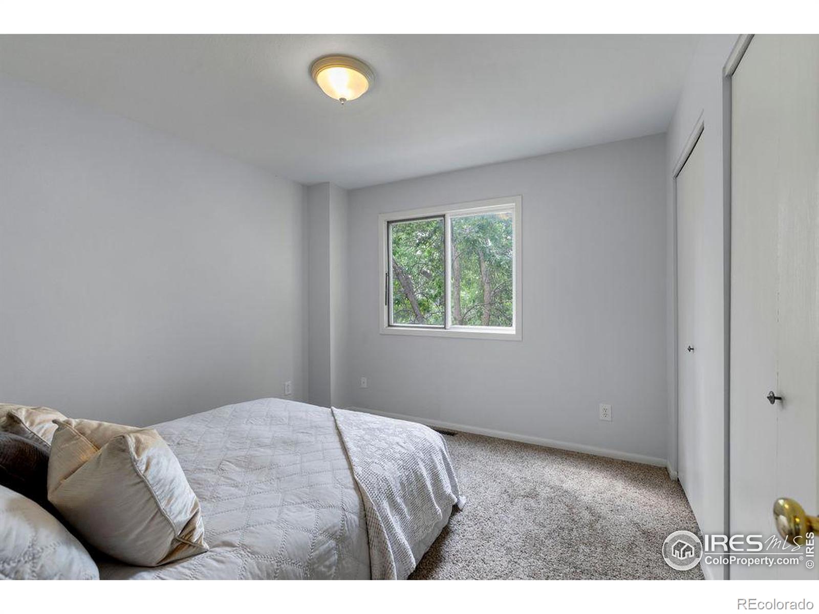 MLS Image #9 for 3024  ross drive,fort collins, Colorado