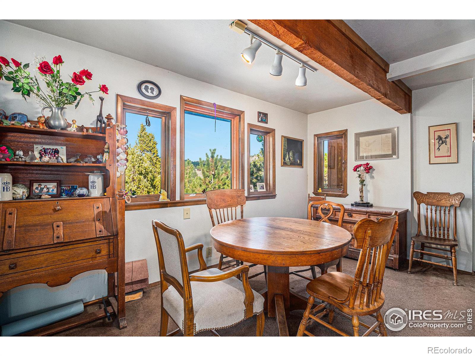 MLS Image #8 for 6186  sunshine canyon drive,boulder, Colorado