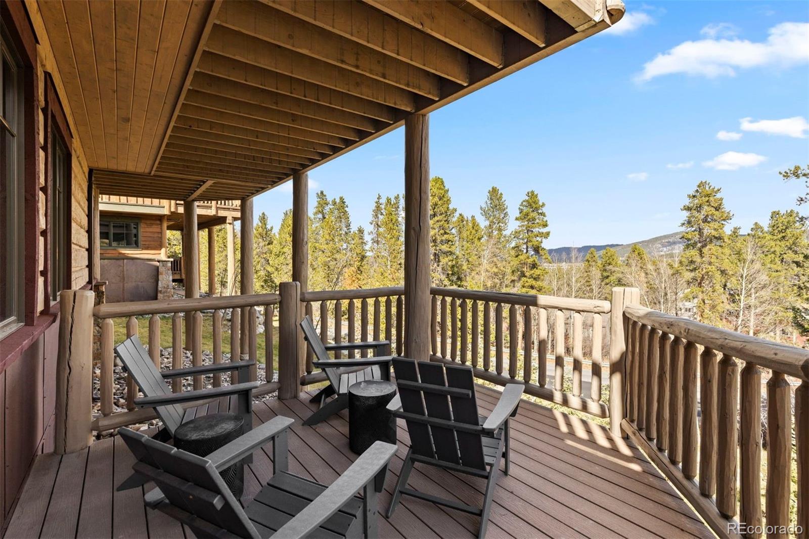 MLS Image #38 for 263  silver queen drive,breckenridge, Colorado