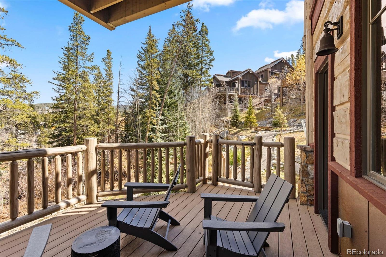 MLS Image #39 for 263  silver queen drive,breckenridge, Colorado