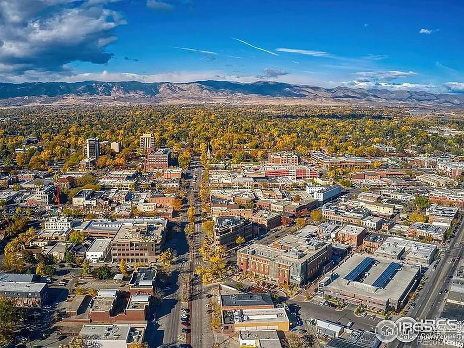 MLS Image #25 for 780  pokeweed lane,fort collins, Colorado