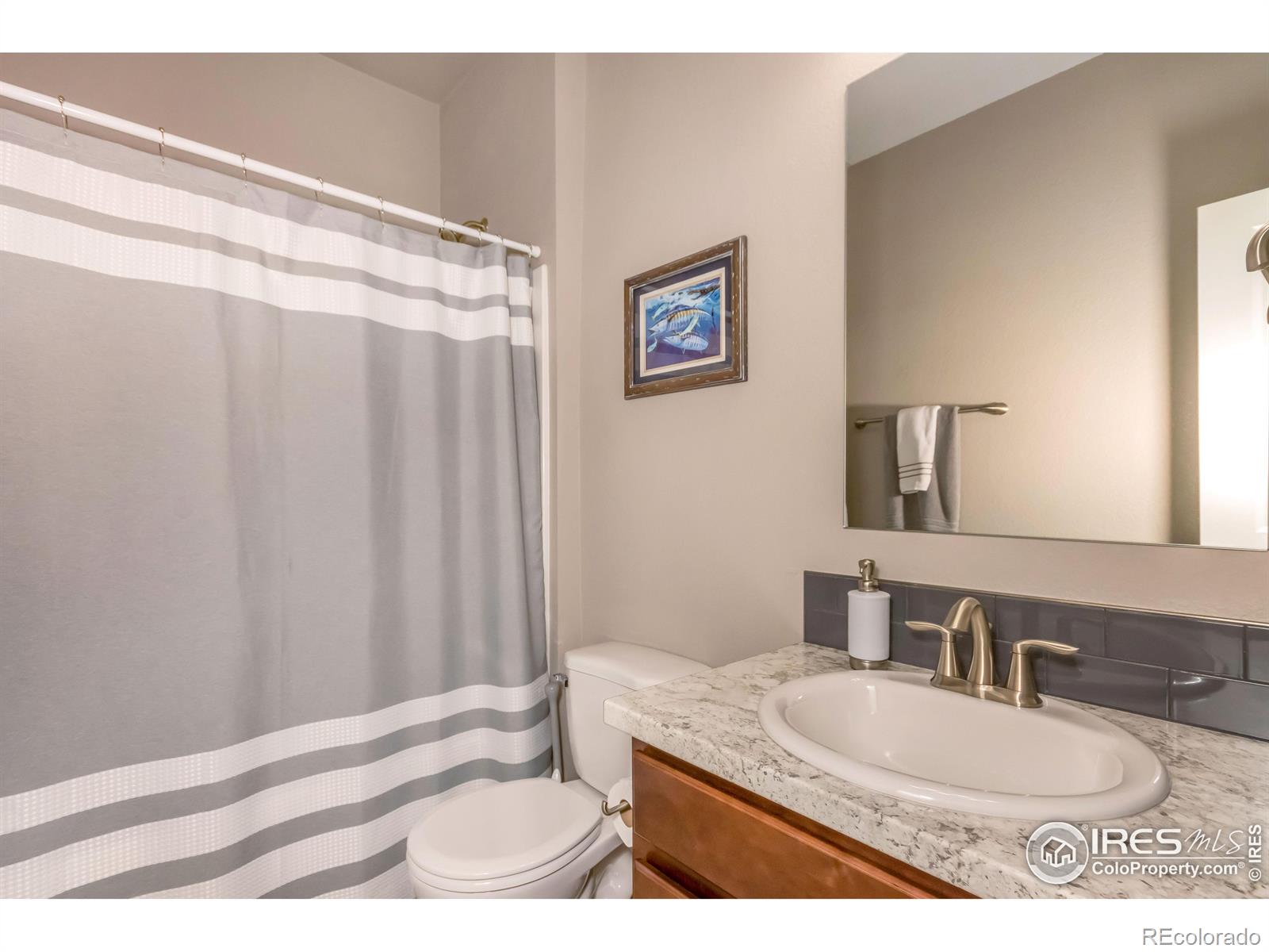 MLS Image #10 for 1383  sage drive,eaton, Colorado