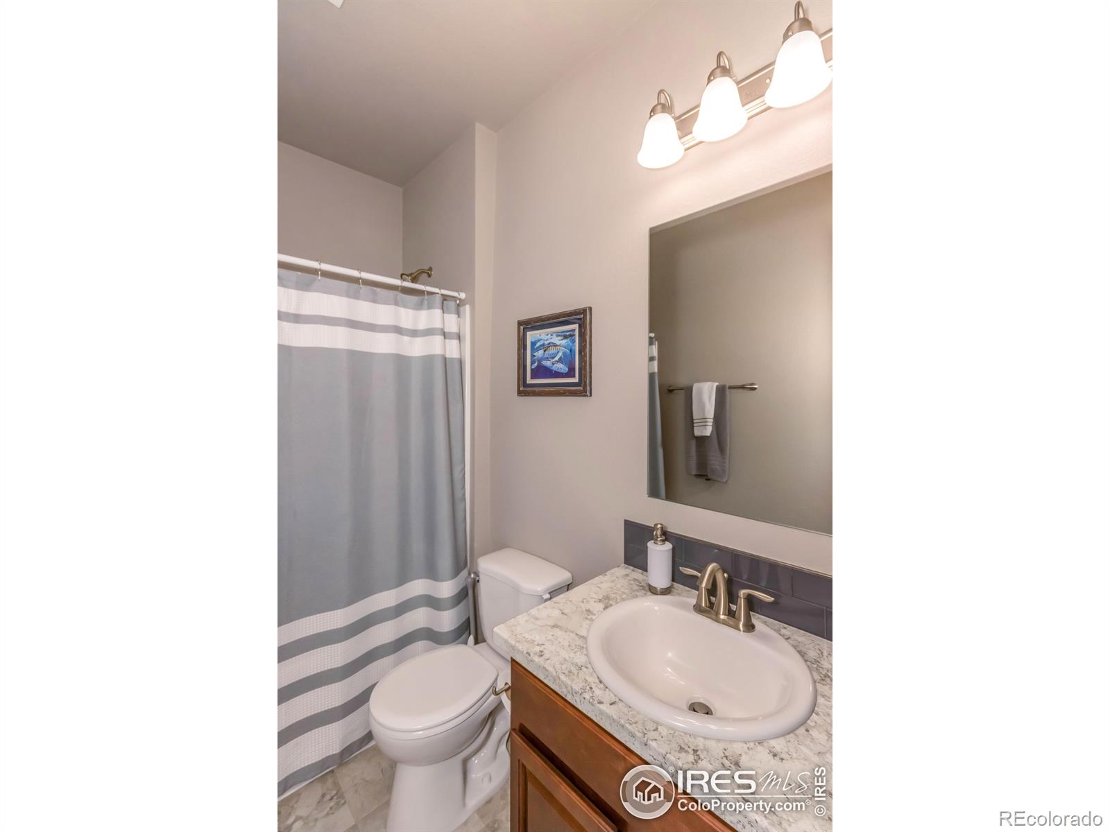 MLS Image #11 for 1383  sage drive,eaton, Colorado