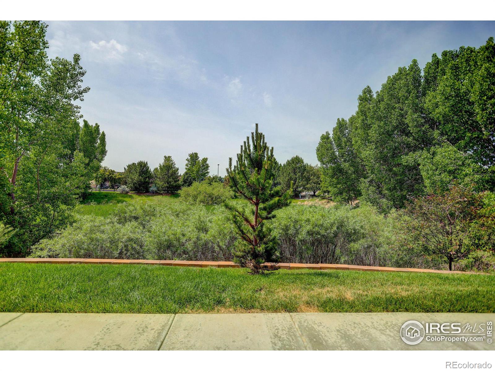 MLS Image #36 for 4612  hahns peak drive,loveland, Colorado