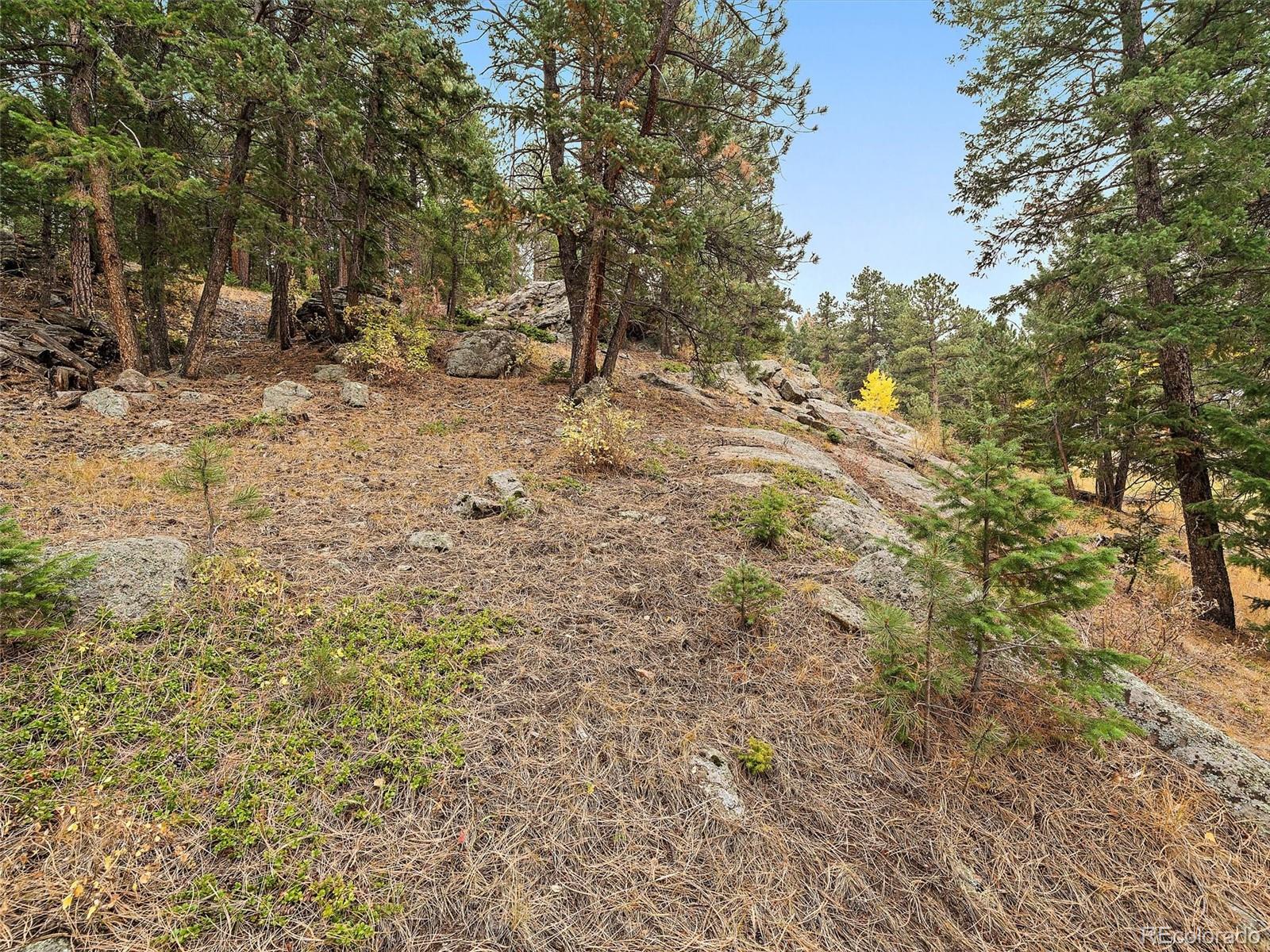 MLS Image #43 for 8840  grizzly way,evergreen, Colorado