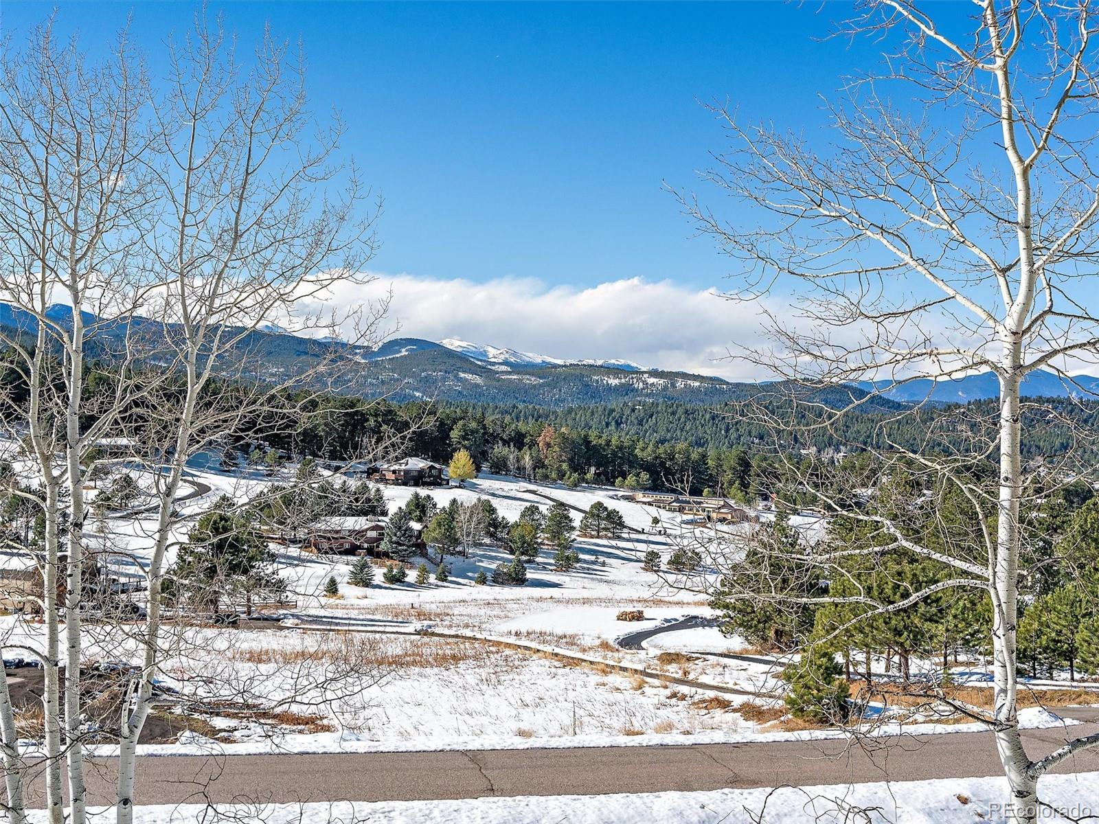 MLS Image #6 for 8840  grizzly way,evergreen, Colorado