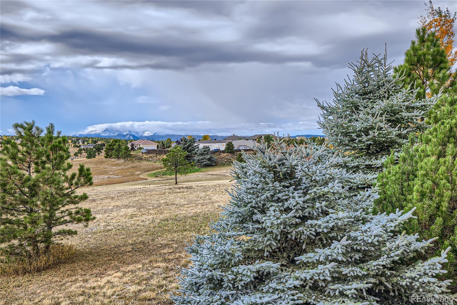 MLS Image #37 for 1348  chapel royal court,monument, Colorado