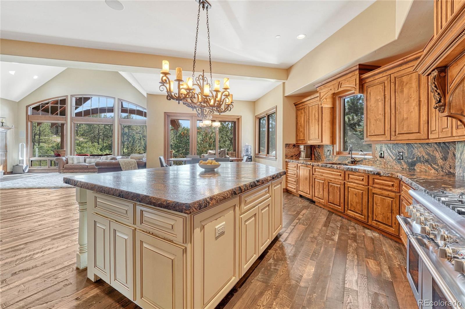 MLS Image #10 for 989  preston court,castle rock, Colorado