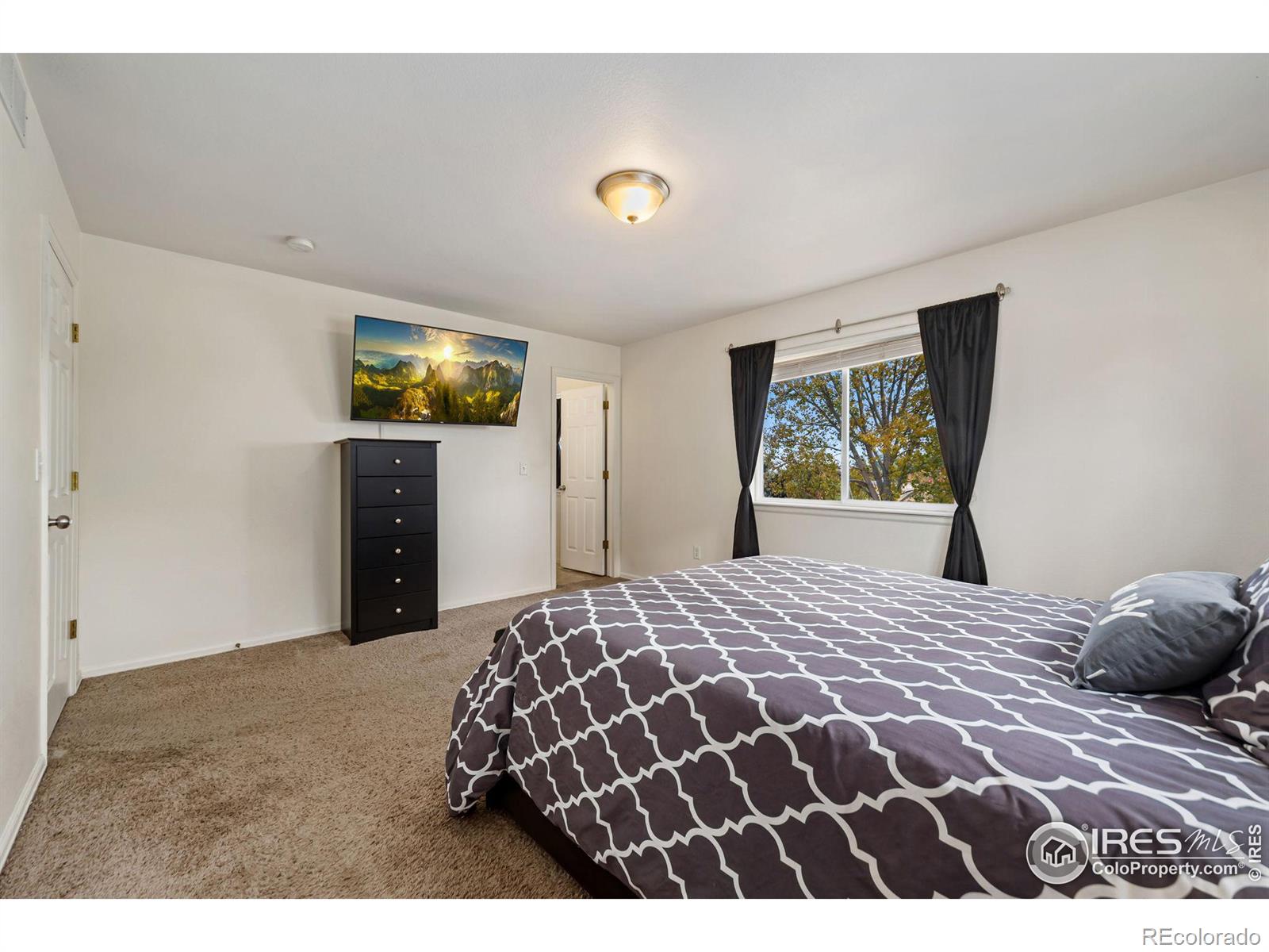 MLS Image #15 for 2124  blue duck drive,loveland, Colorado