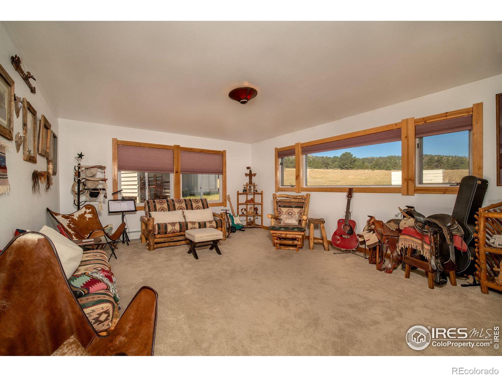 MLS Image #18 for 2435  eagle rock drive,estes park, Colorado