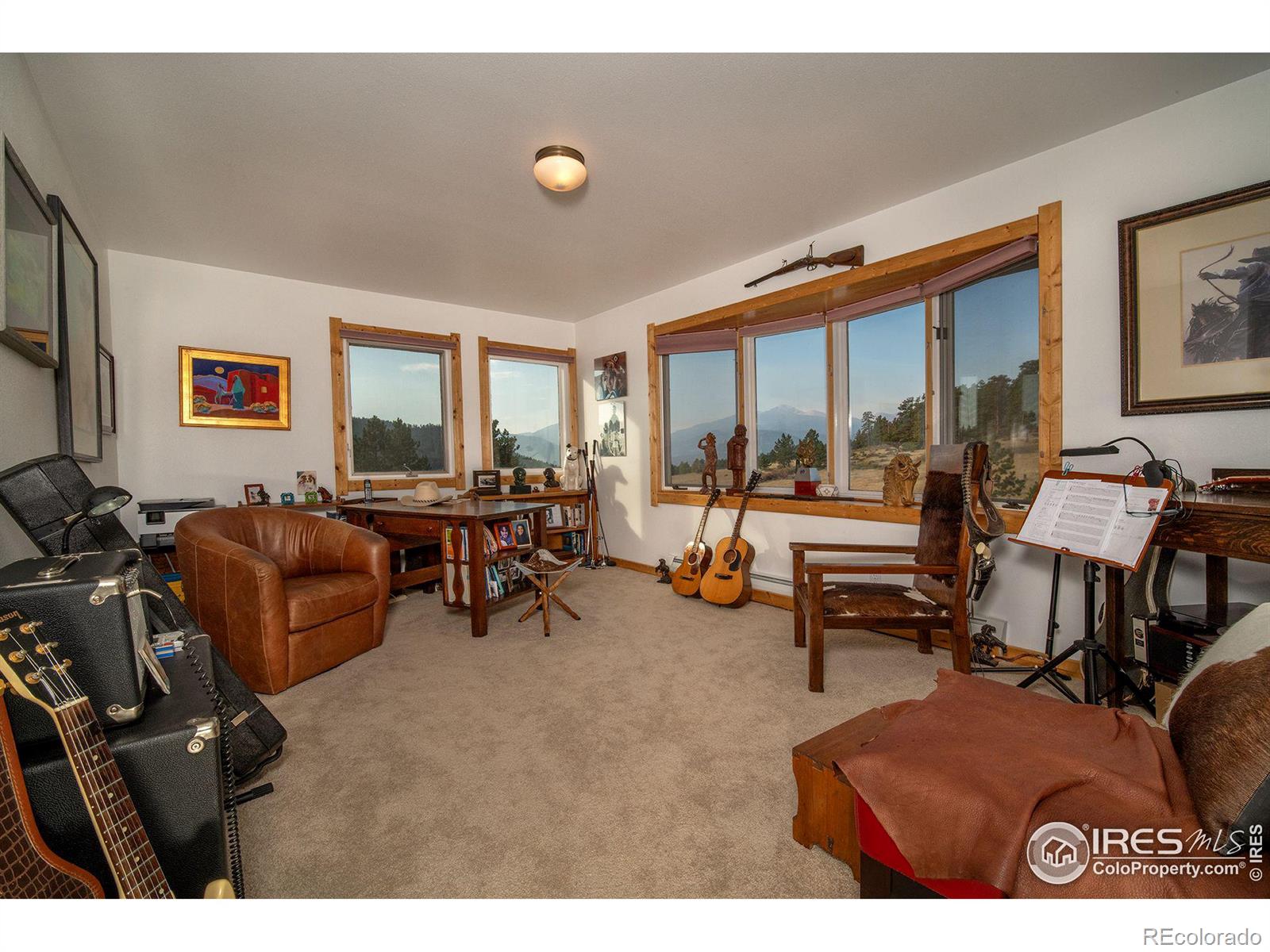 MLS Image #9 for 2435  eagle rock drive,estes park, Colorado