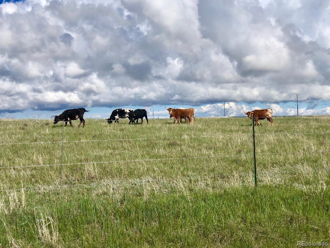 MLS Image #45 for 9690 n log road,calhan, Colorado