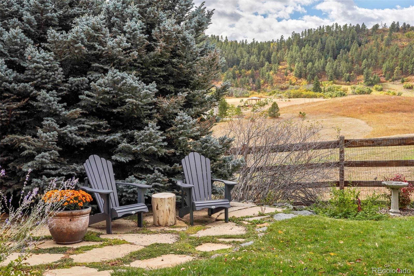 MLS Image #3 for 4517  tallyrand circle,castle rock, Colorado