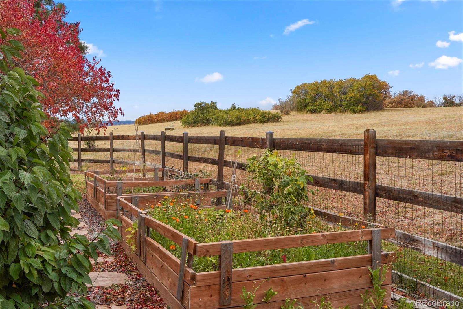 MLS Image #44 for 4517  tallyrand circle,castle rock, Colorado