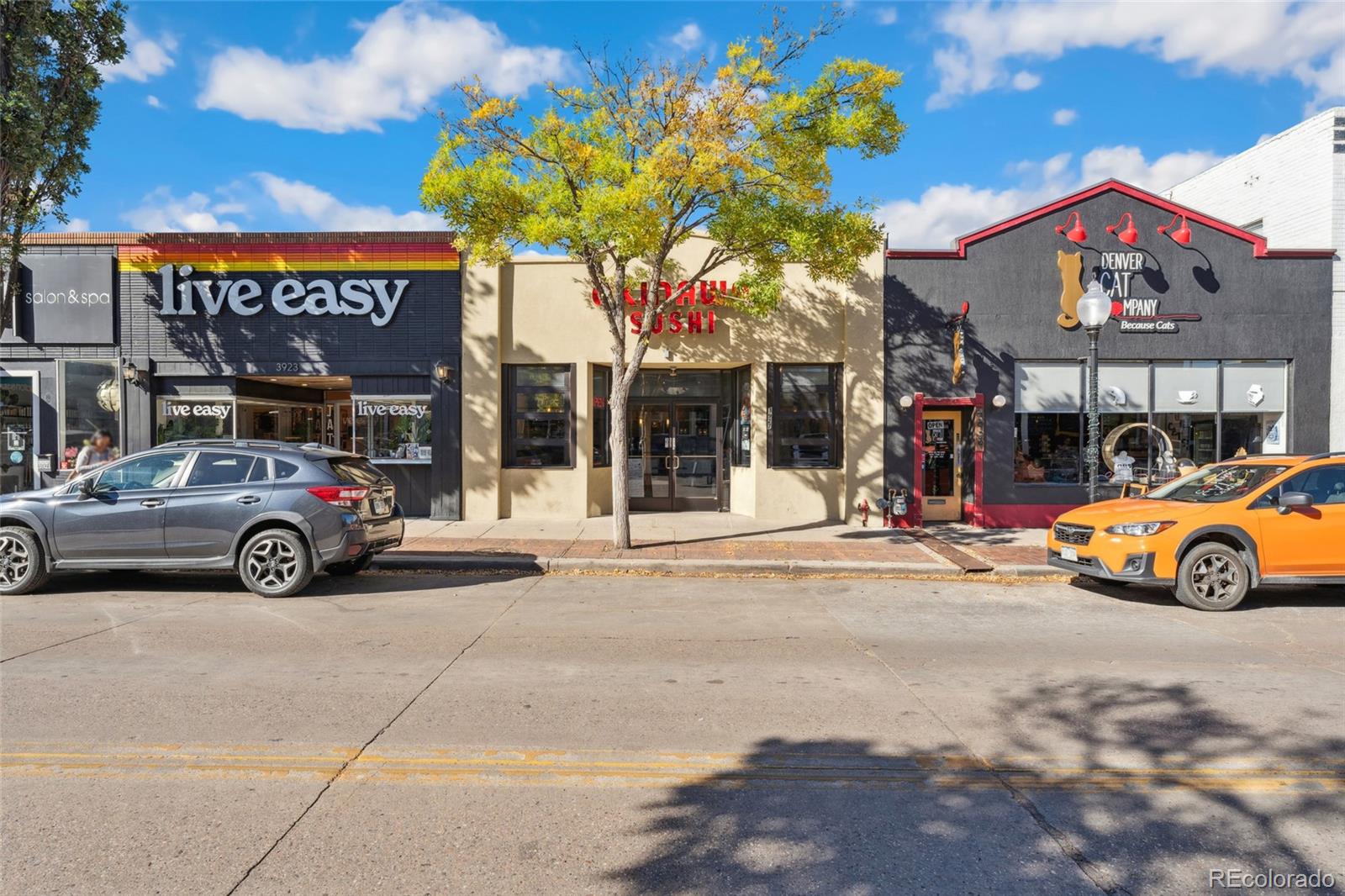 MLS Image #47 for 3933  vrain street,denver, Colorado