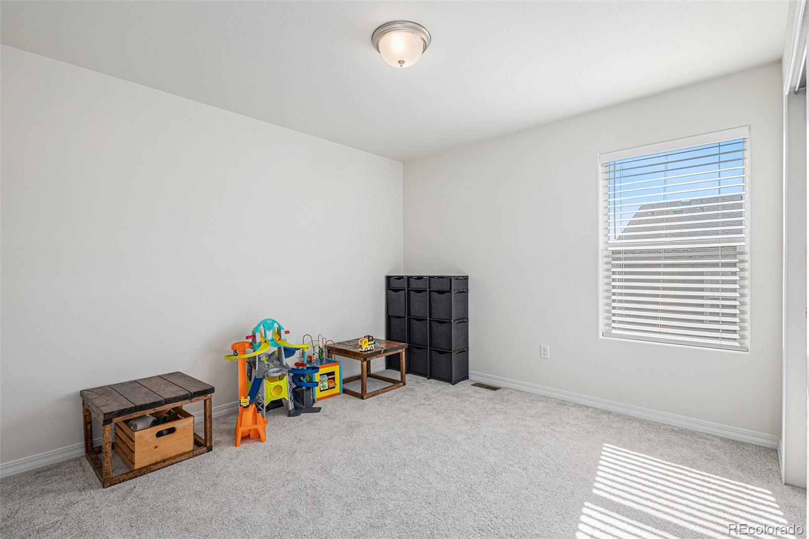 MLS Image #22 for 8051  basaltic drive,colorado springs, Colorado