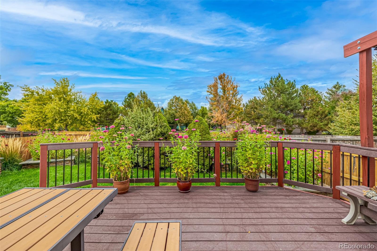 MLS Image #15 for 4649 s tabor way,morrison, Colorado