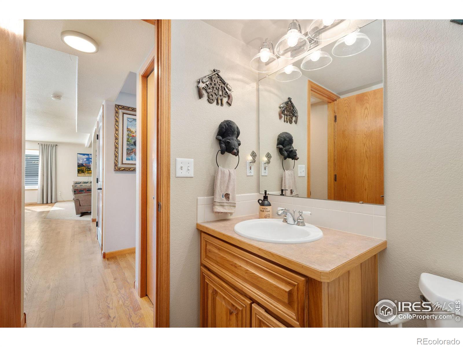 MLS Image #20 for 170  sweet clover place,loveland, Colorado