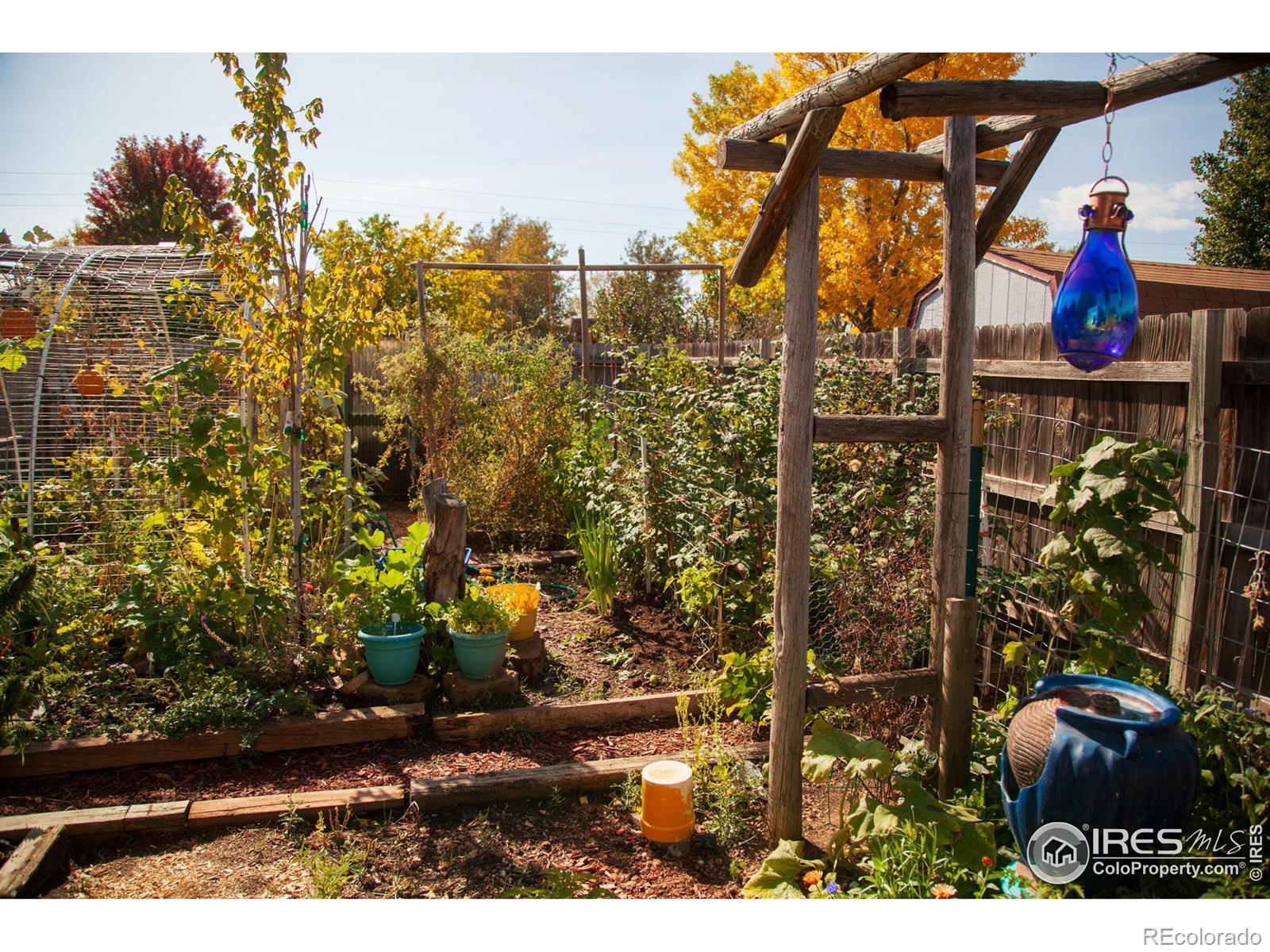 MLS Image #10 for 1130  norma court,milliken, Colorado