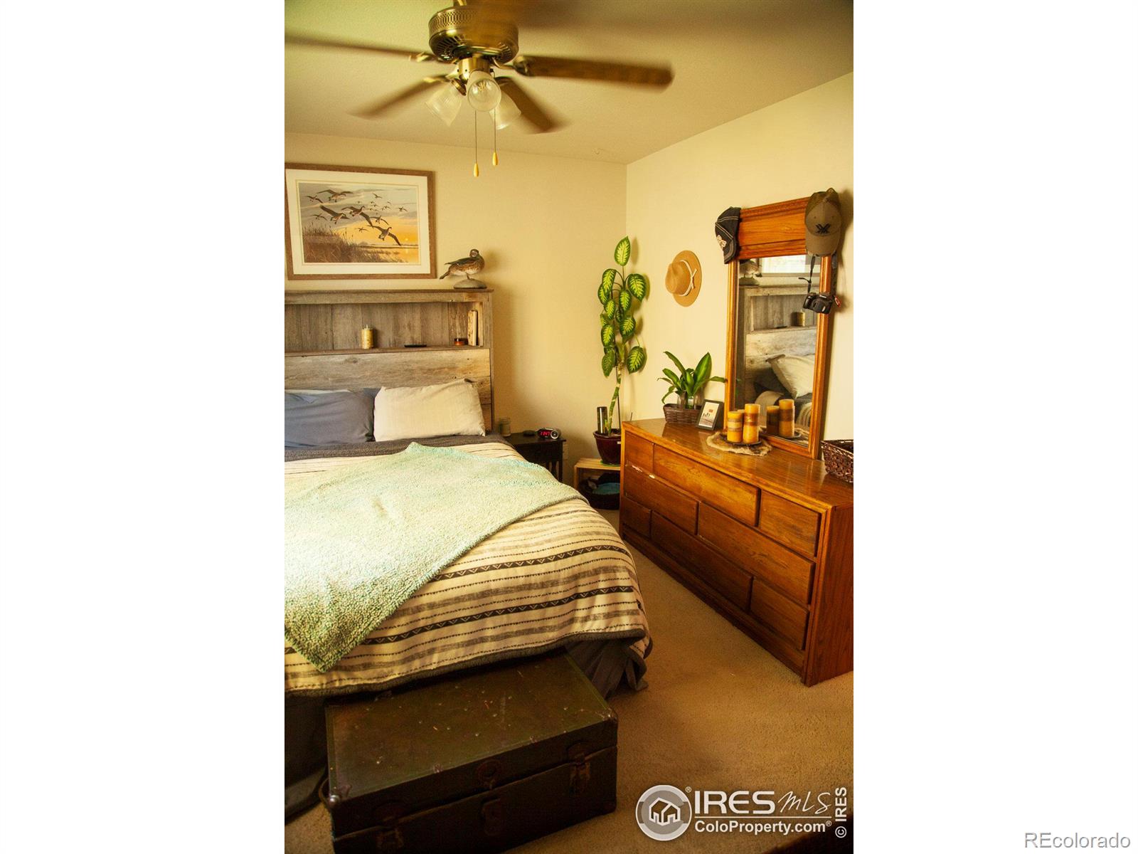 MLS Image #25 for 1130  norma court,milliken, Colorado