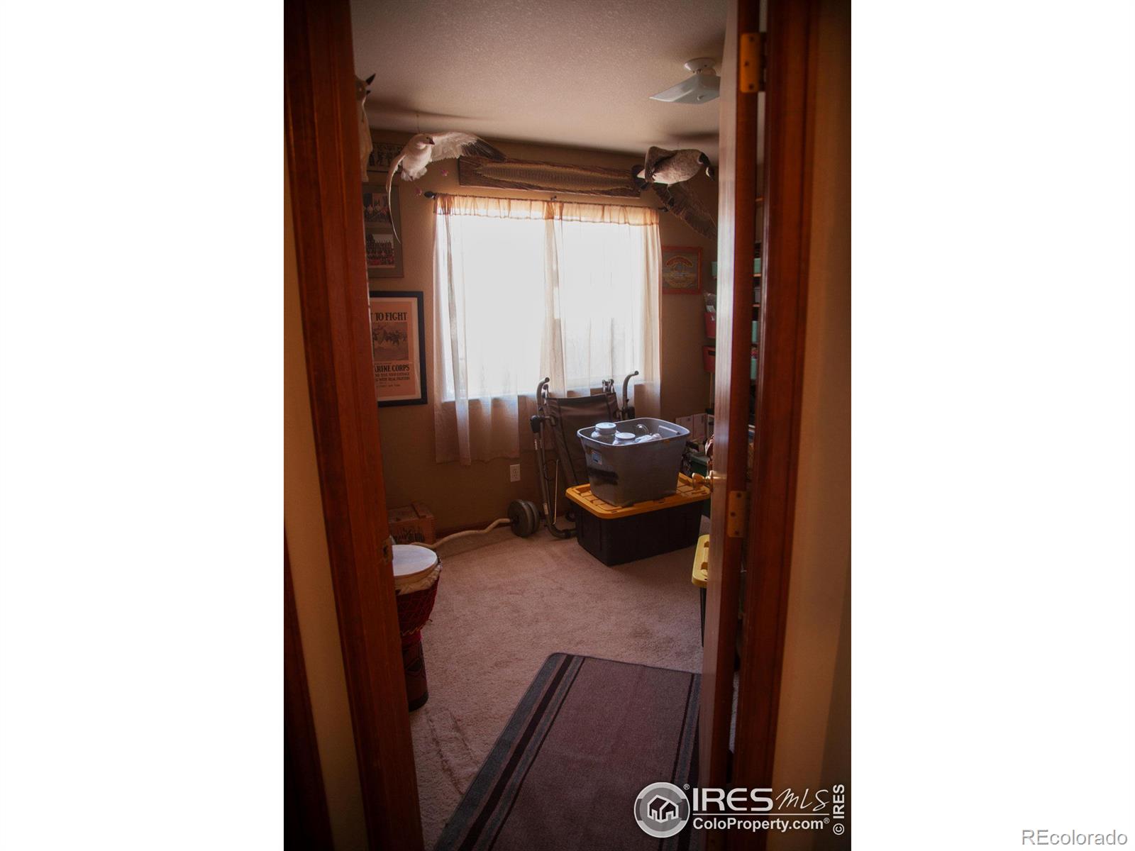 MLS Image #27 for 1130  norma court,milliken, Colorado