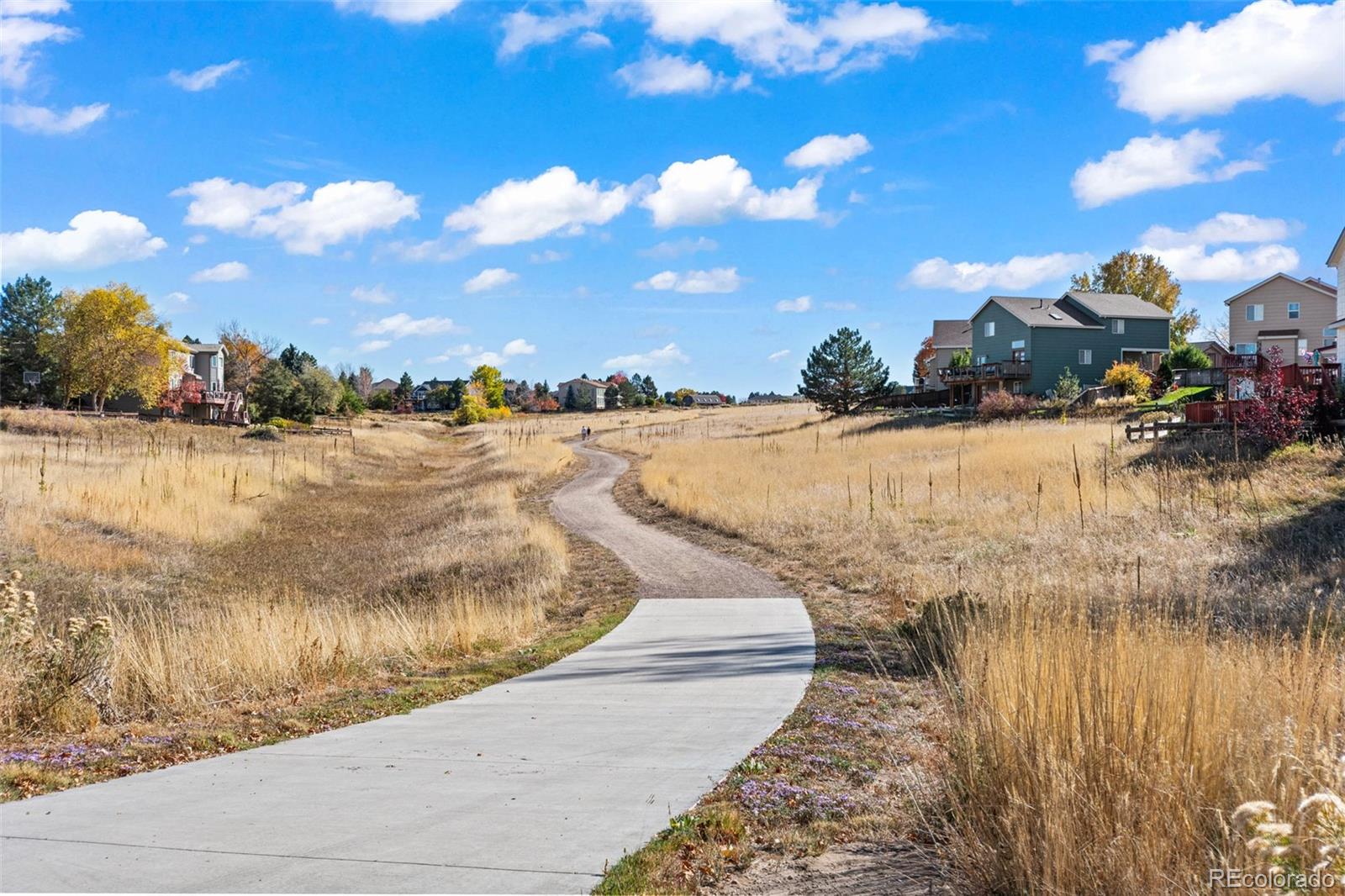 MLS Image #44 for 2061  hyacinth road,highlands ranch, Colorado