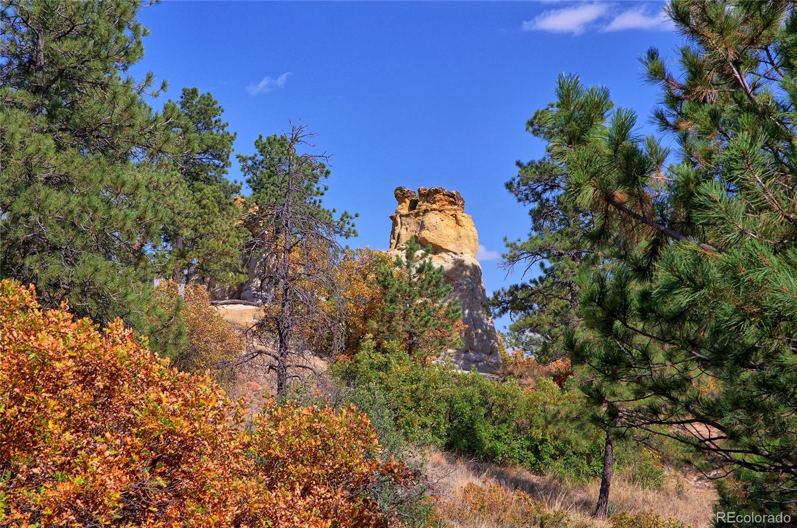 MLS Image #44 for 530  blackhawk court,colorado springs, Colorado