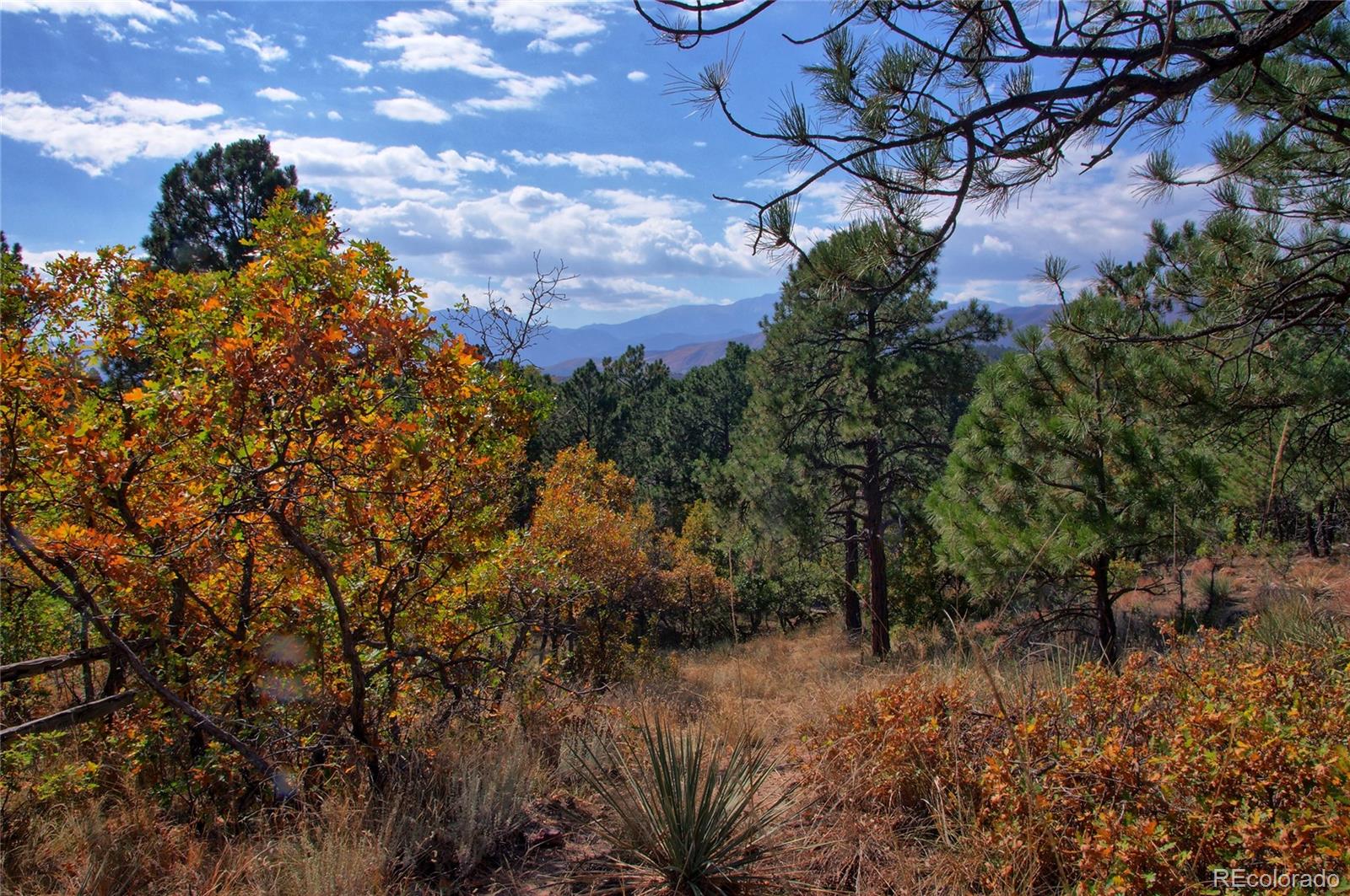 MLS Image #45 for 530  blackhawk court,colorado springs, Colorado