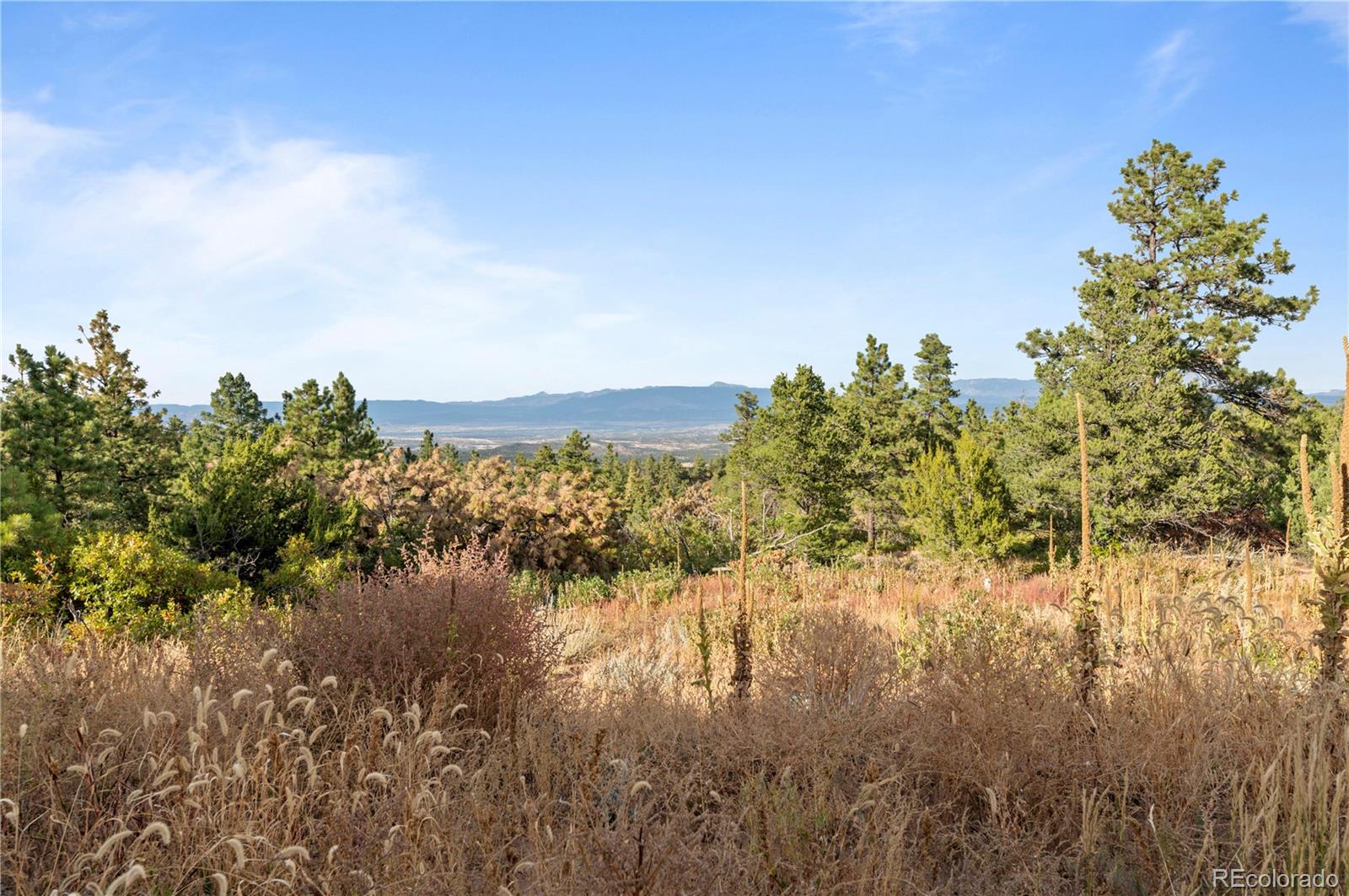 MLS Image #18 for 2299  twin creek road,florence, Colorado