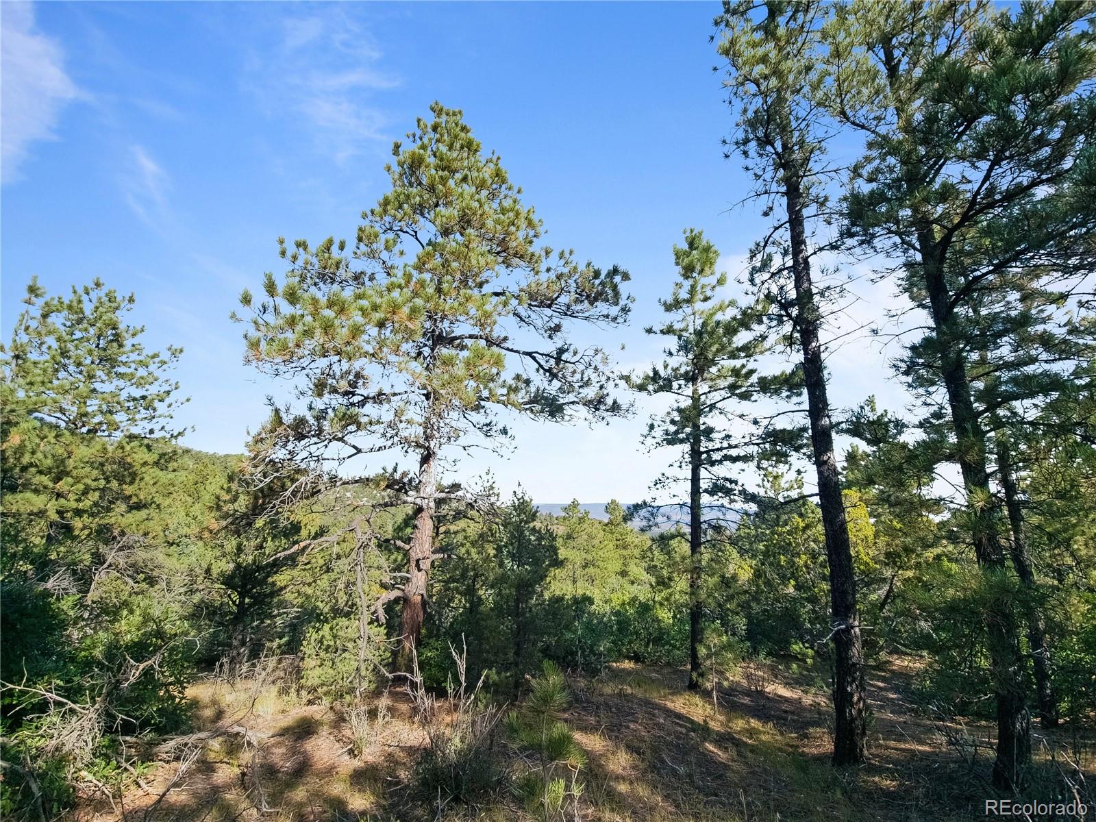 MLS Image #19 for 2299  twin creek road,florence, Colorado