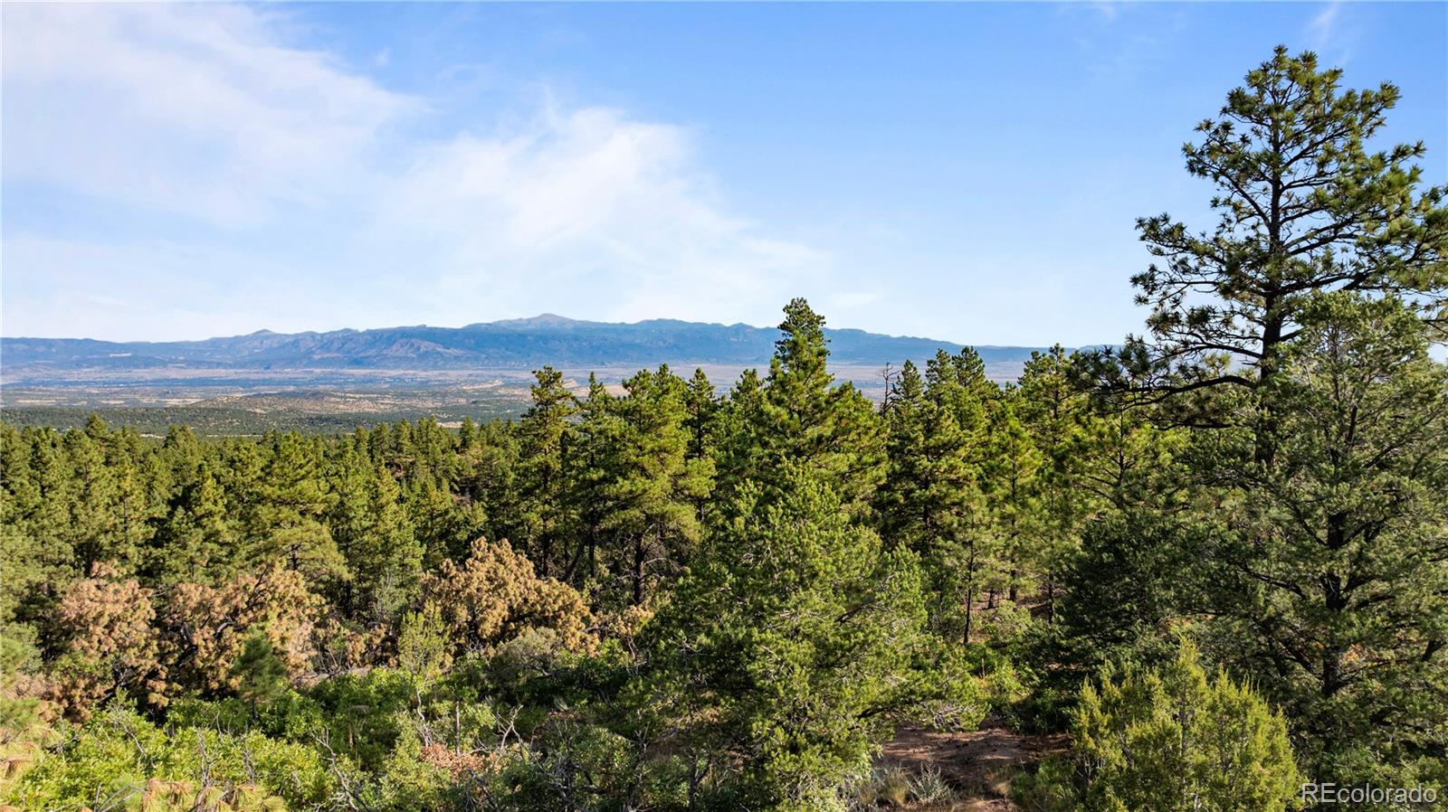 MLS Image #21 for 2299  twin creek road,florence, Colorado