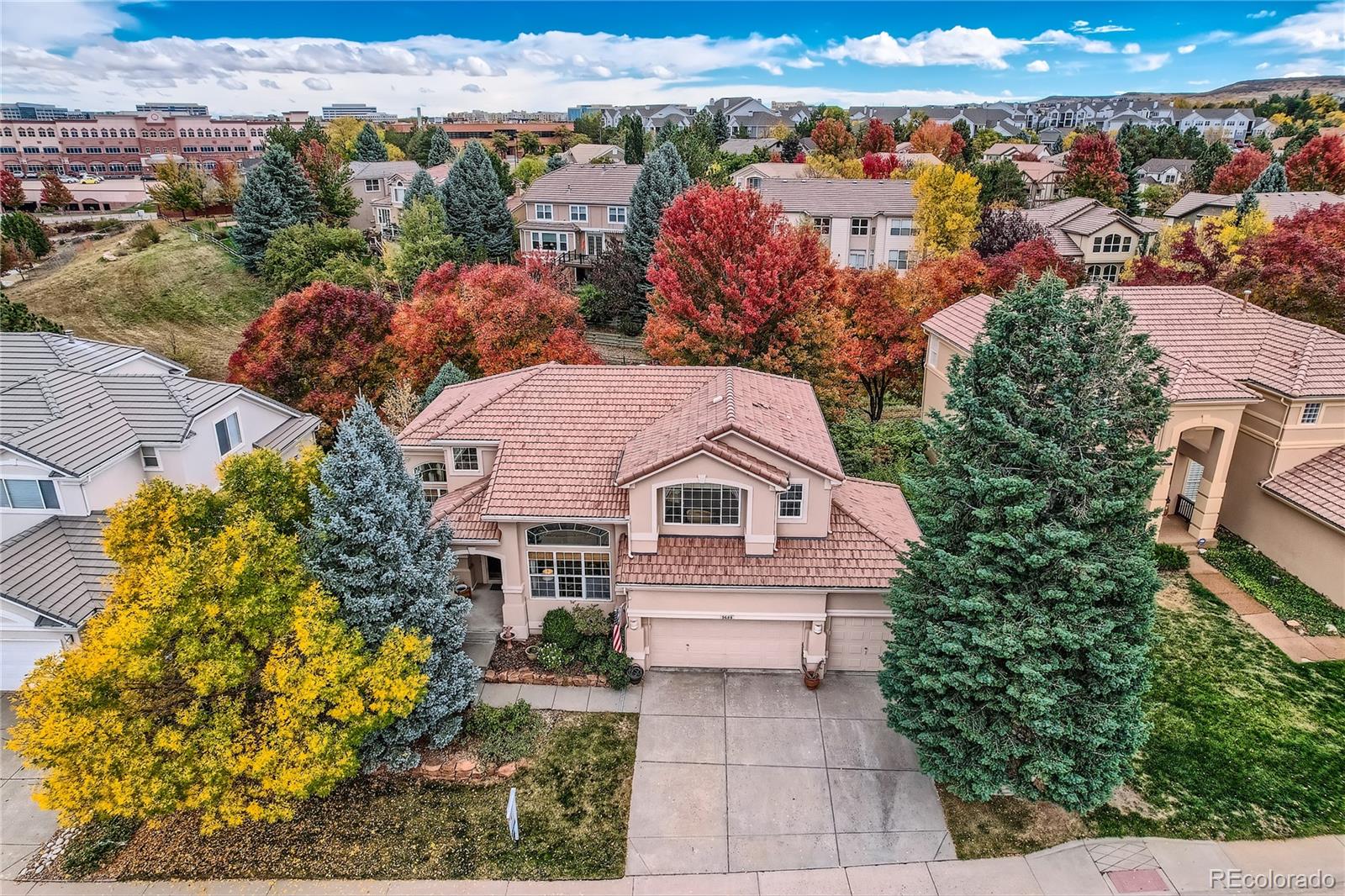 CMA Image for 9688  Colinade Drive,Lone Tree, Colorado