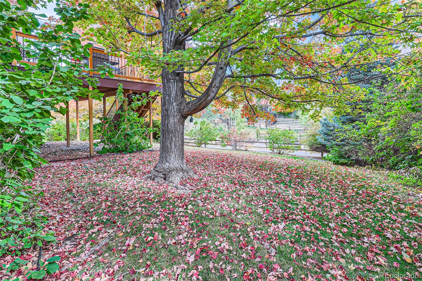 MLS Image #25 for 9688  colinade drive,lone tree, Colorado