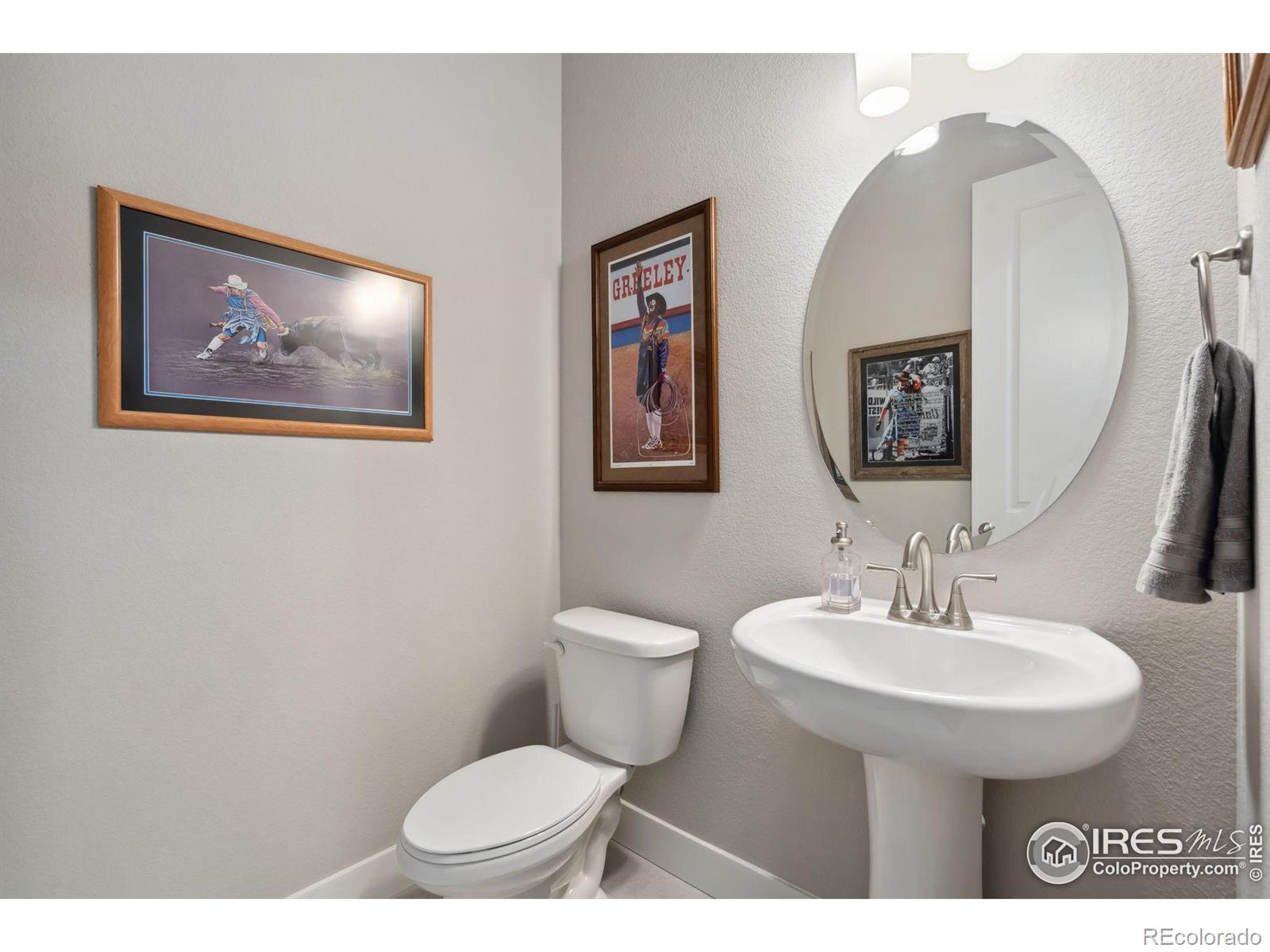 MLS Image #10 for 6246  vernazza way,windsor, Colorado