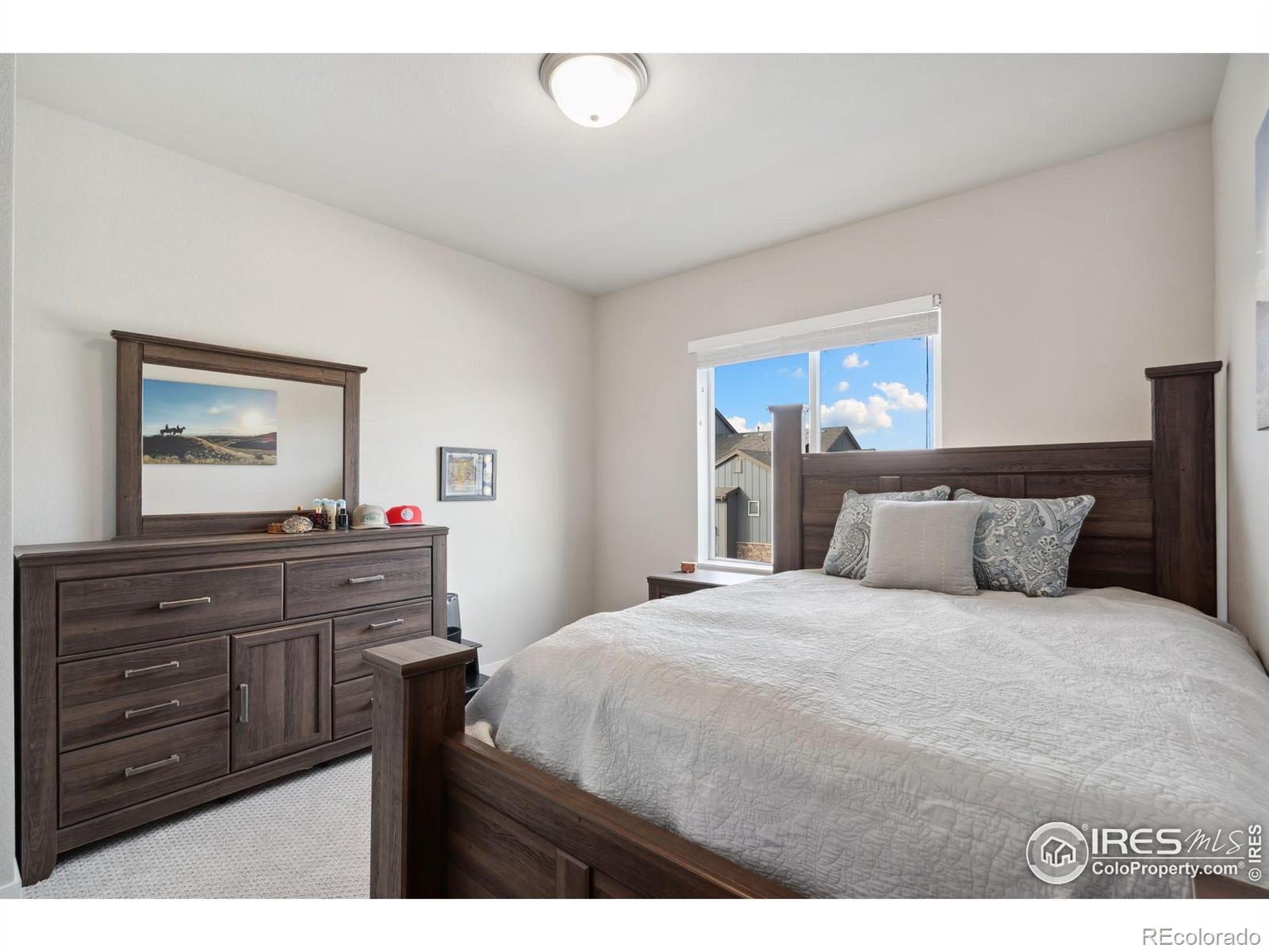 MLS Image #15 for 6246  vernazza way,windsor, Colorado